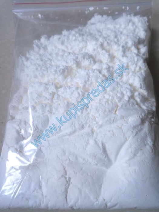 holi powder buy online